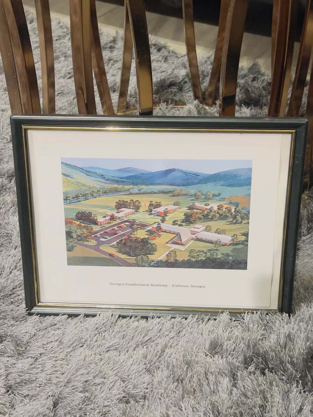 Vintage Framed Georgia Cumberland Academy Calhoun Georgia Campus Print